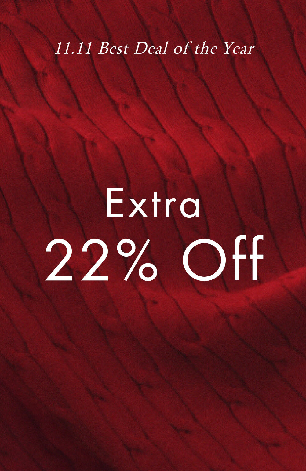 11.11 Best Deal of the Year Extra 22% Off